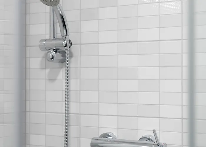 佛罗雅科夫哈姆酒店 3* 卢布尔雅那