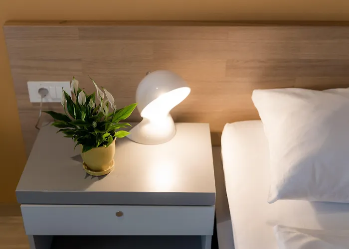 酒店 佛罗雅科夫哈姆酒店 3*