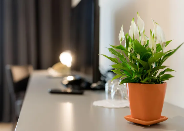 佛罗雅科夫哈姆酒店 卢布尔雅那