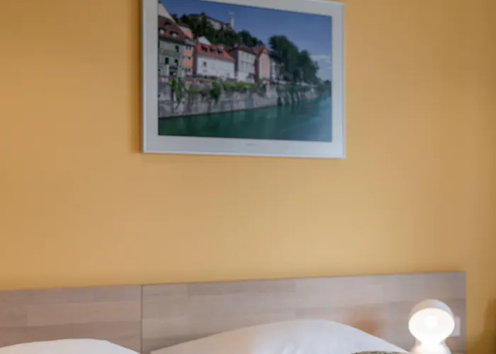 酒店 佛罗雅科夫哈姆酒店 3*