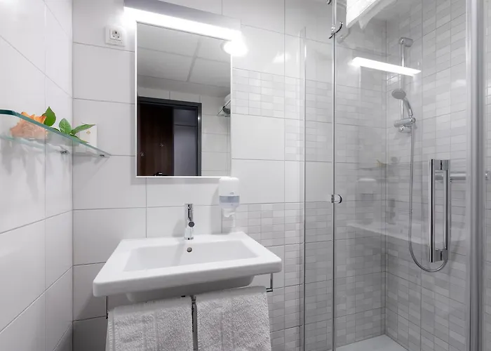 酒店 佛罗雅科夫哈姆酒店 3*