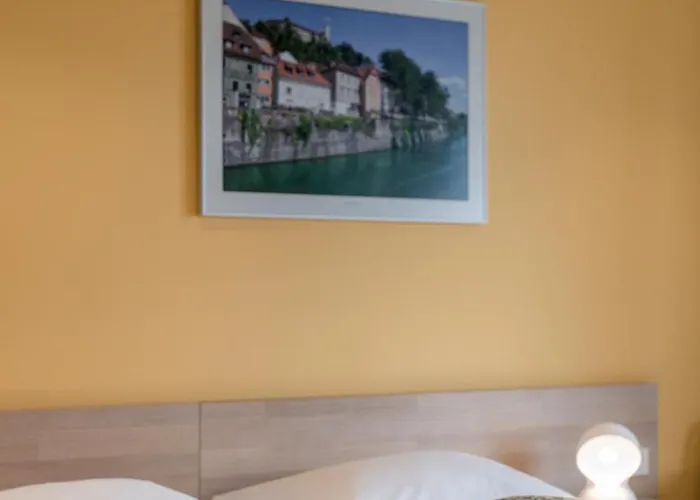 佛罗雅科夫哈姆酒店 酒店 3*