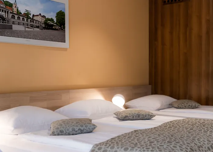 ホテル フロルヤンチコフ フラム