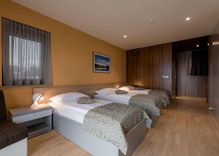 フロルヤンチコフ フラム リュブリャナ