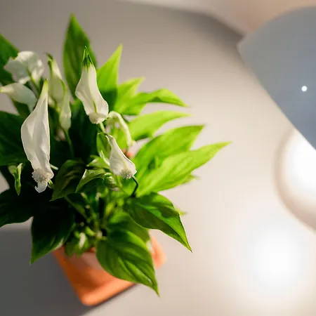 Florjanckov Hram Hotel Ljubljana