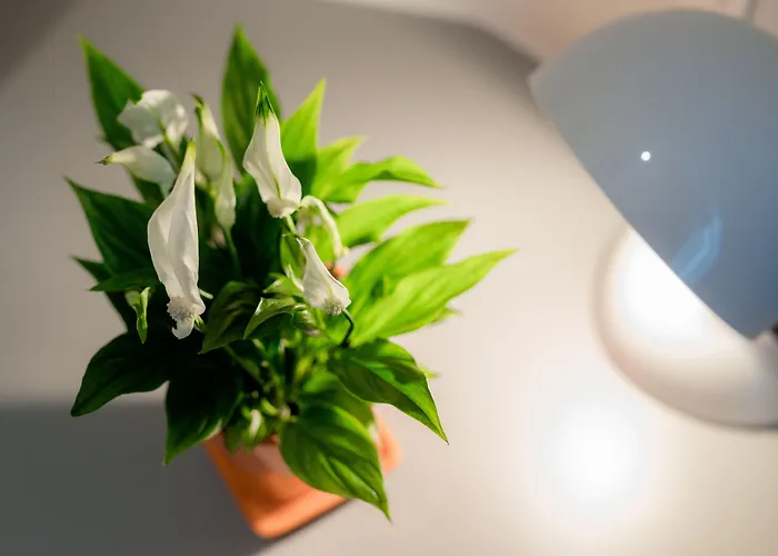 플로리안치코우 흐람 호텔 류블랴나