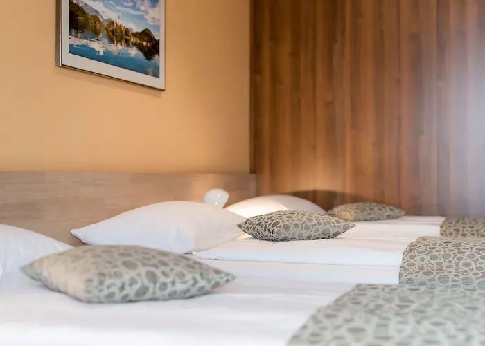 플로리안치코우 흐람 3* 류블랴나